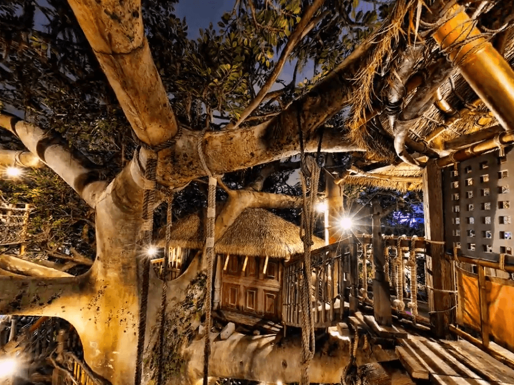 Tree houses Tree houses