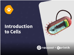 Visual guide illustrating the process of filing taxes, featuring tax forms and a calculator with the title, How to File Your Taxes.